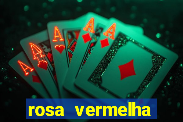 rosa vermelha (letra e cifra)